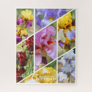 Iris d'Allemagne_01 [Puzzle : 520P] Puzzle