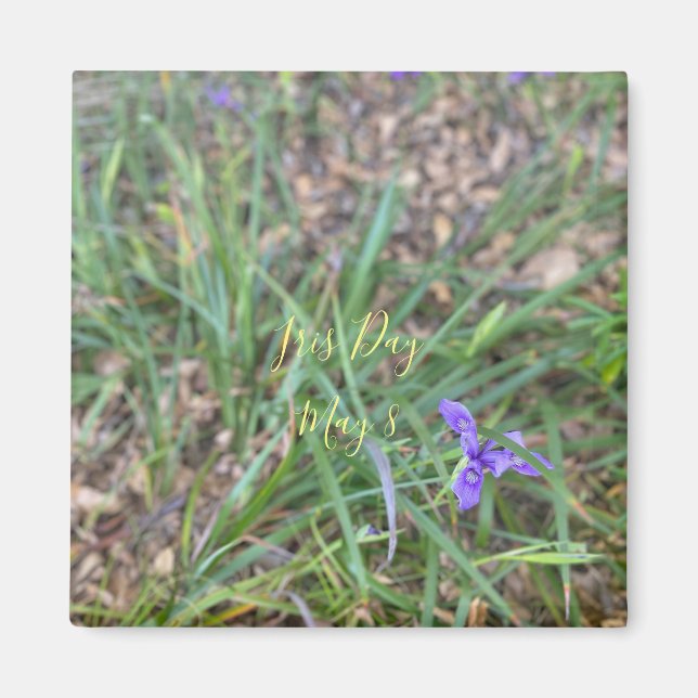 Iris Day Magnet (Vorne)