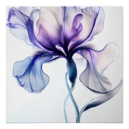 Iris Delicat in Blumen Poster