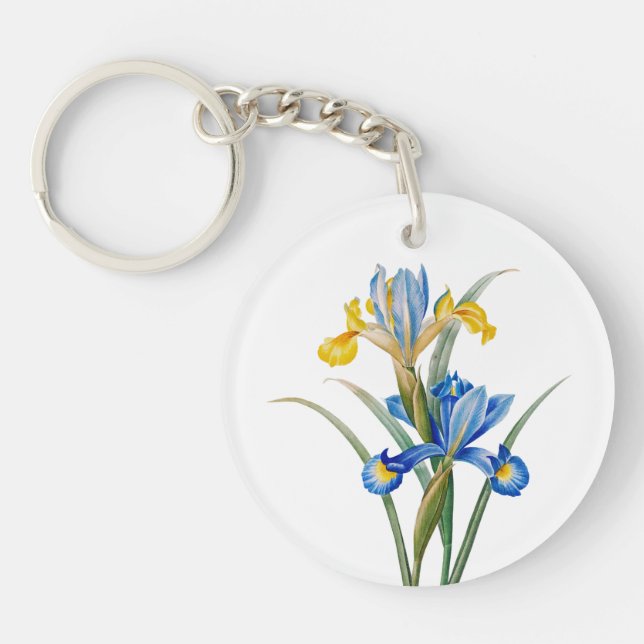 Iris d'Espagne par Pierre-Joseph Redouté (Devant)