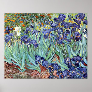 Iris durch Vincent van Gogh 1898 Poster