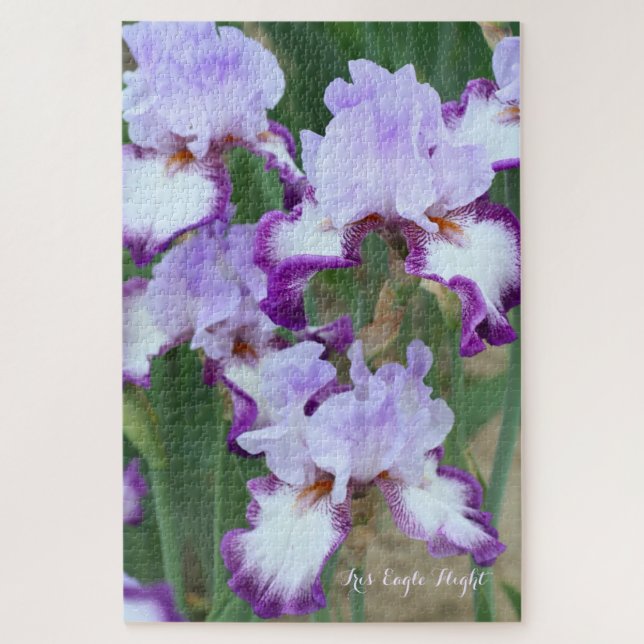 Iris"Eagle Flight" [Jigsaw puzzle: 1014P] (Vertikal)