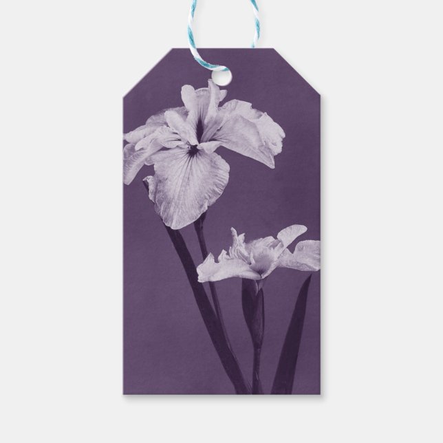 Iris Fine Art Geschenkanhänger (Vorderseite)