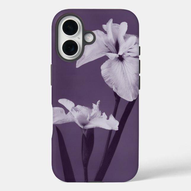 IRIS FINE ART iPhone 16 HÜLLE (Rückseite)