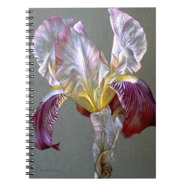 Iris Fine Art Notebook Notizblock (Vorderseite)