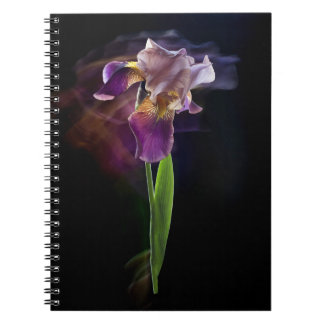 Iris flower on a black background. Long exposure. Notizblock