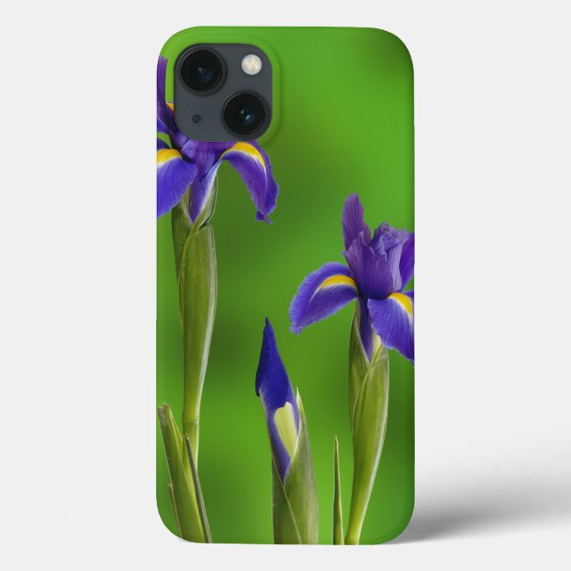 Iris Flowers Case-Mate iPhone Hülle (Rückseite)