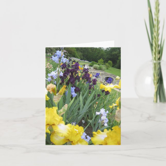 Iris Garden Small Blank Note Card Karte (Vorderseite)