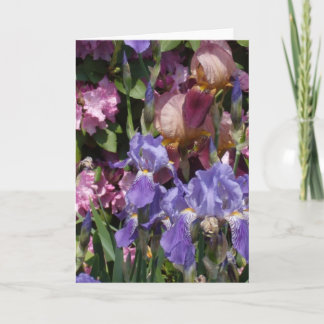 Iris-Garten-lila blaues Rosa Karte