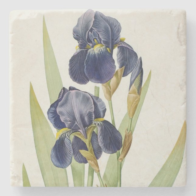 Iris Germanica, von "Les Liliacees", 1805 Steinuntersetzer (Vorderseite)