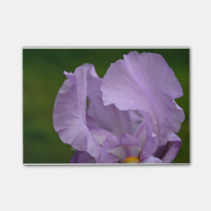 Iris-Glück Post-it Klebezettel