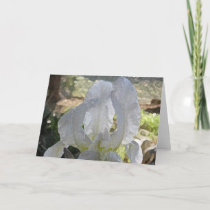 Iris Greeting Card Karte