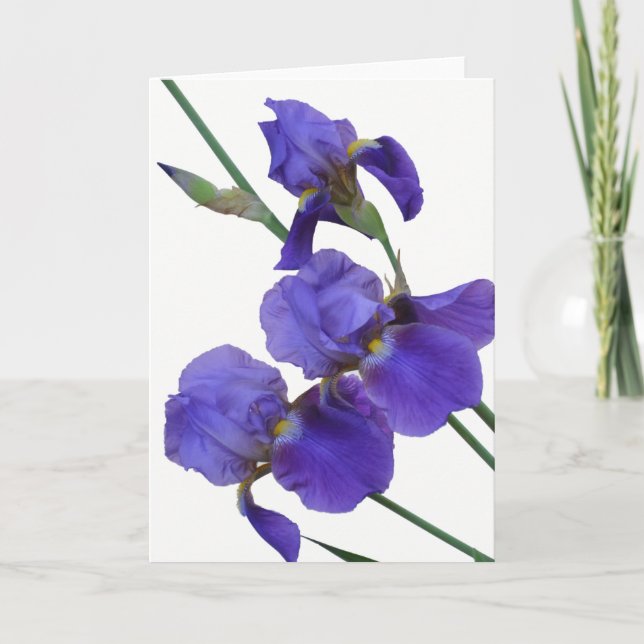 Iris-Gruß-Karte (freier Raum nach innen) Karte (Vorderseite)