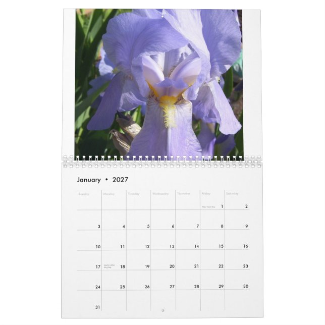Iris im Garten Kalender (Jan 2027)