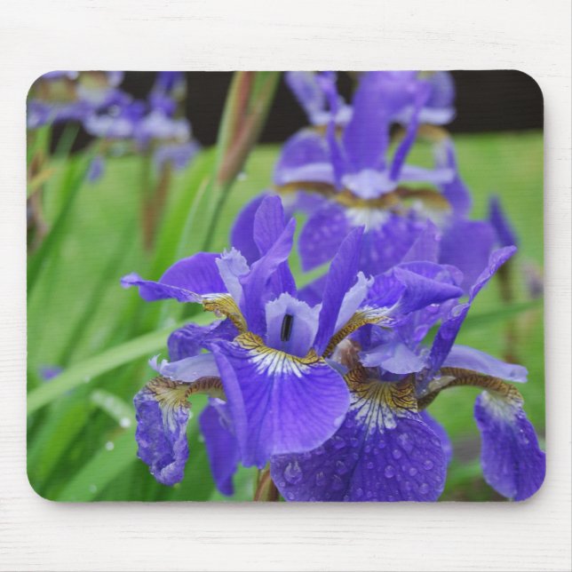 Iris im Garten Mousepad (Vorne)