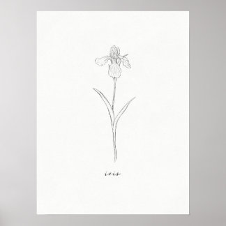 Iris - Impression de fleurs