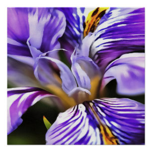 Iris in Violet Lilac und Lila botanische Kunst Poster