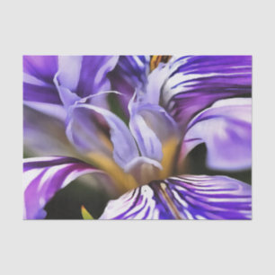 Iris in Violet Lilac und Lila botanische Kunst Seidenpapier