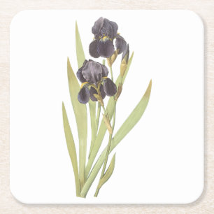 Iris (Iris germanica) von Redouté Rechteckiger Pappuntersetzer