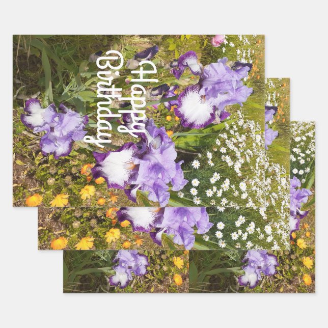 Iris Iris Lila Blume Floral Lavender Geschenkpapier Set (Set)