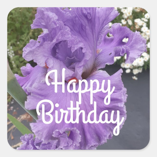 Iris Iris Lila Blume Floral Lavender Quadratischer Aufkleber (Vorderseite)