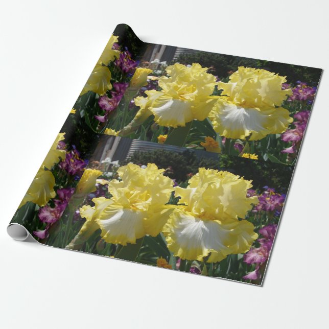 Iris irises Blume Gelb Weißer Bartu Geschenkpapier (Ungerollt)