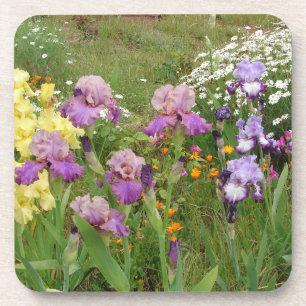 Iris irises blumengeschmückte Blume Hütte Garden G Getränkeuntersetzer