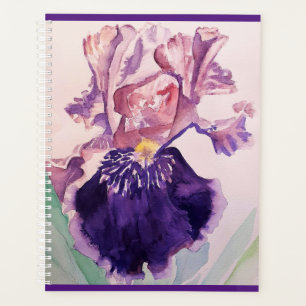 Iris Irises Glorious Lila Blume Planer