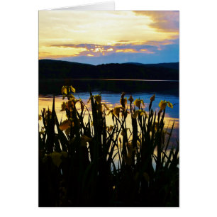 Iris jaunes sur la rive du lac Arrowhead