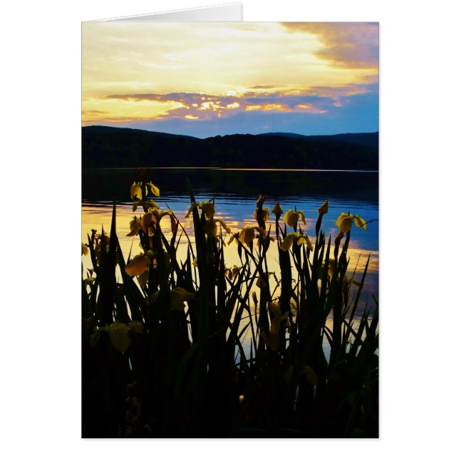 Iris jaunes sur la rive du lac Arrowhead (Devant)