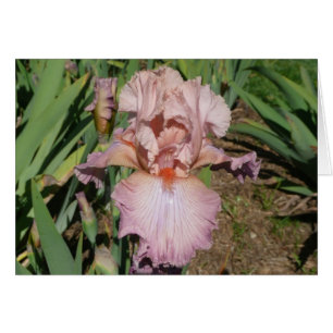 IRIS-KARTEN-HÜBSCHER PASTELL - leere Karte