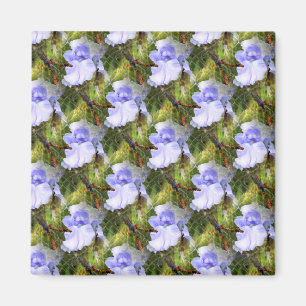 Iris Liebe... Magnet