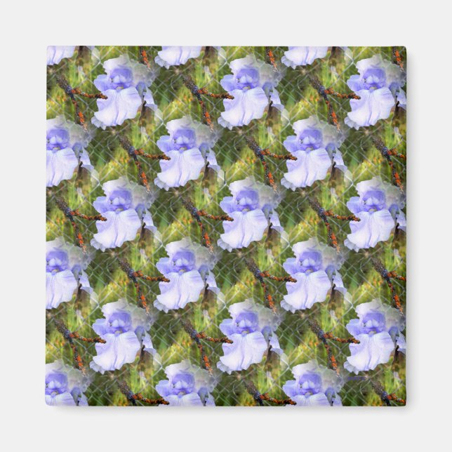 Iris Liebe... Magnet (Vorne)