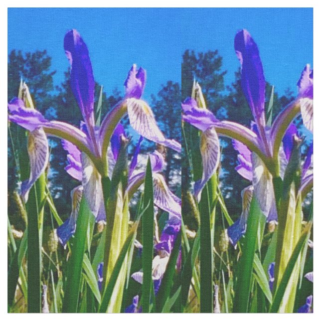 Iris Light Stoff (Nahaufnahme)