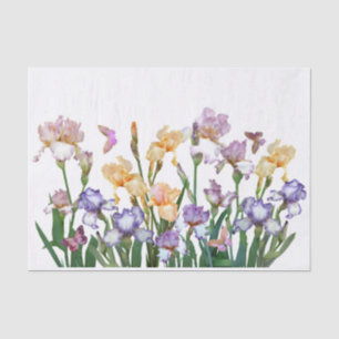 Iris Lila Butterfly Pink Seidenpapier