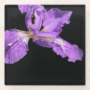 Iris Lila Glasuntersetzer