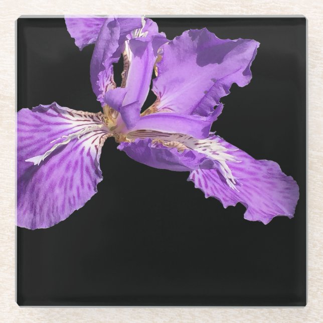 Iris Lila Glasuntersetzer (Vorderseite)