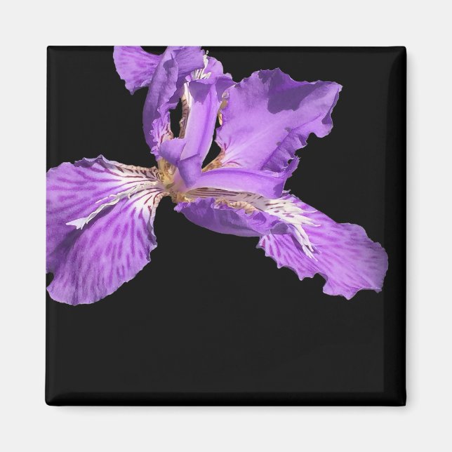 Iris Lila Magnet (Vorne)