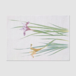 Iris Macrosiphon von William Dykes Seidenpapier