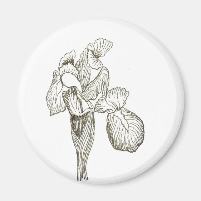 Iris Magnet (Vorne)