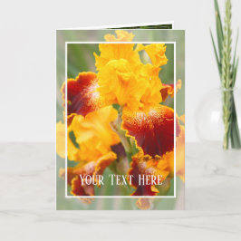 Iris "Michigan Pride"[Grußkarte] ド Karte