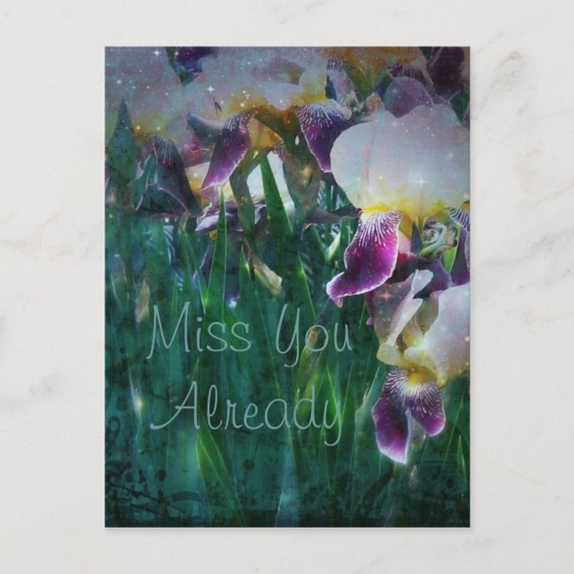 Iris Miss You Bereits Postcard Postkarte (Vorderseite)