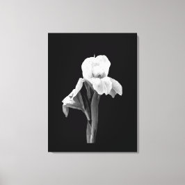 "Iris mit Regentropfen" wickelte Leinwand-Druck Leinwanddruck