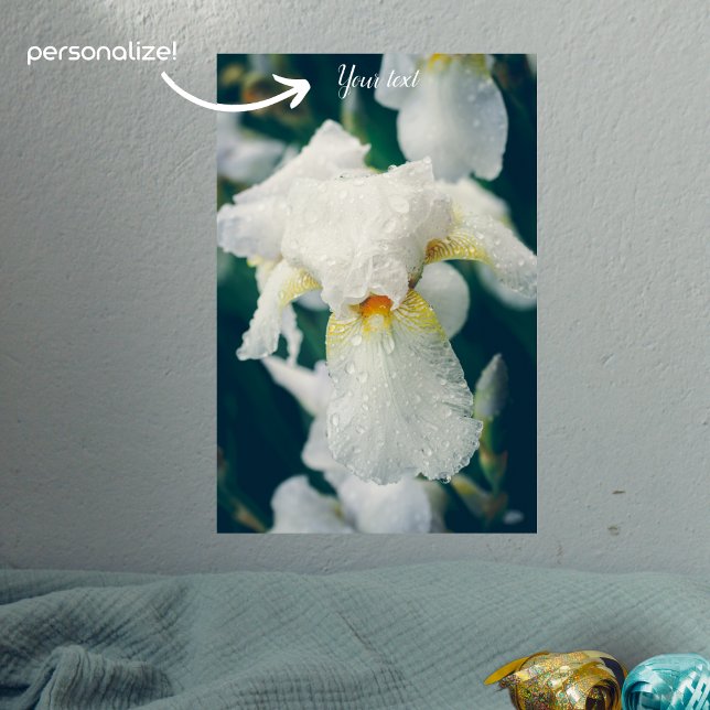 Iris mit Wassertröpfchen Poster (Von Creator hochgeladen)