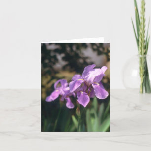Iris Notecard Karte