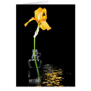 Iris or en bouteille vintage