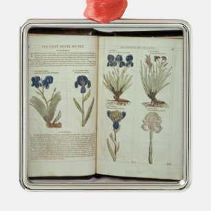 Iris Ornament Aus Metall