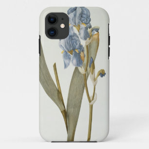 Iris Pallida, von "Les Liliacees", 1812 title_seo2
