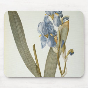 Iris Pallida, von "Les Liliacees", 1812 Mousepad