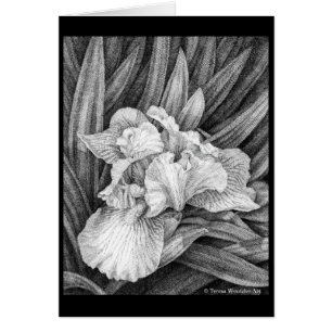 Iris Pen und Ink Zeichn Card